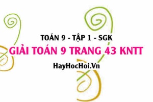 Giải Toán 9 trang 43 tập 1 Kết nối tri thức